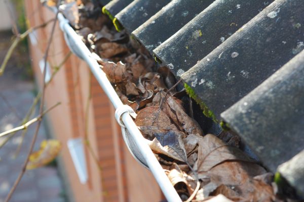 Home Gutter Cleaning in Matthews