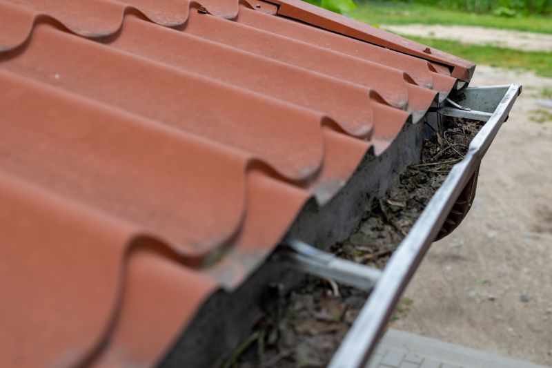Gutter Leaves Removal detail