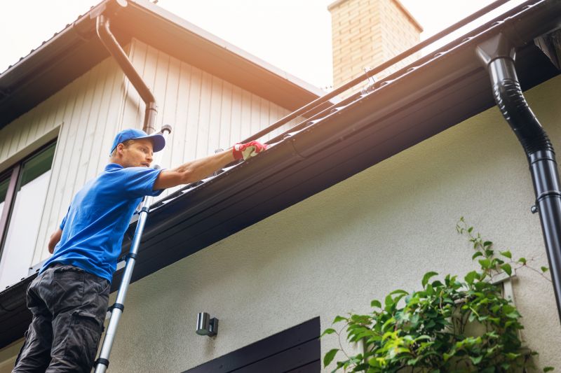 Gutter Maintenance detail