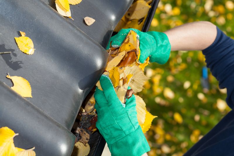Gutter Inspection and Maintenance