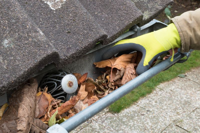 Inspecting Gutter Integrity