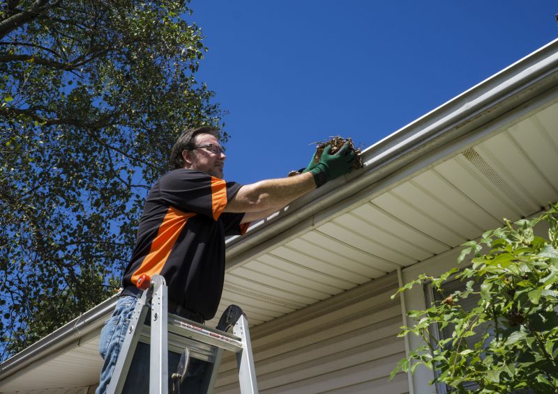 Seamless Gutter Cleaning